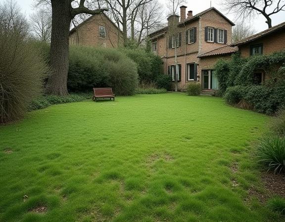 Un prato trascurato prima del progetto di paesaggismo.